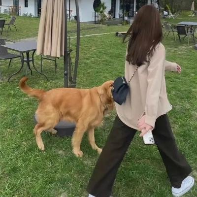 康熙微服私访记4